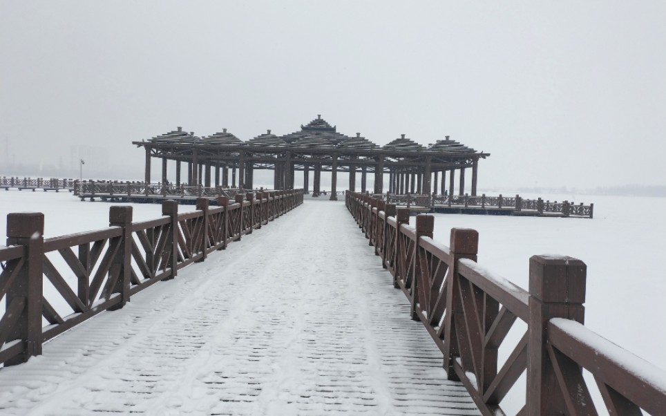 大庆雪景图片