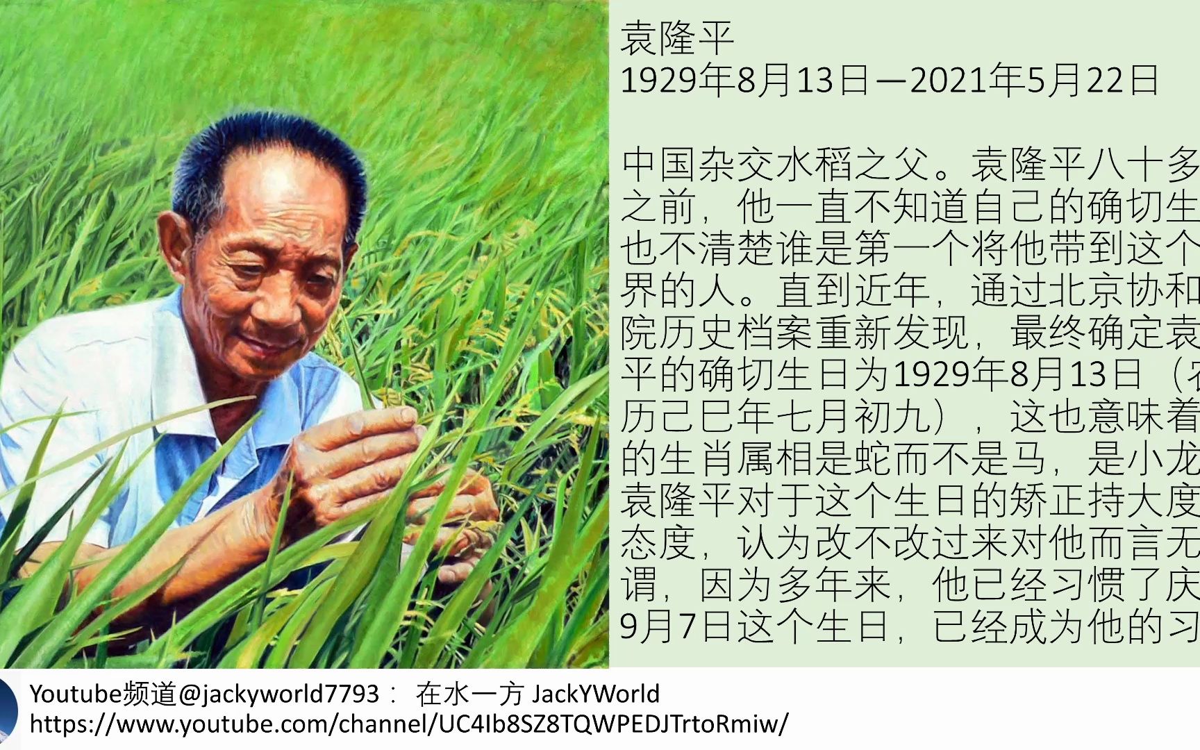 传奇人物传记:杂交水稻之父 - 袁隆平.