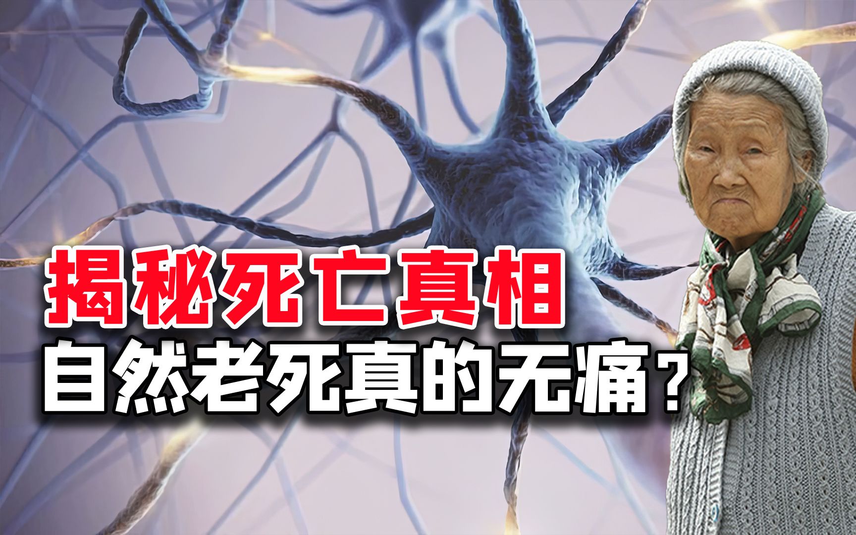 自然老死真不痛苦吗?4千名老人揭开死亡真相,结局让人难以接受