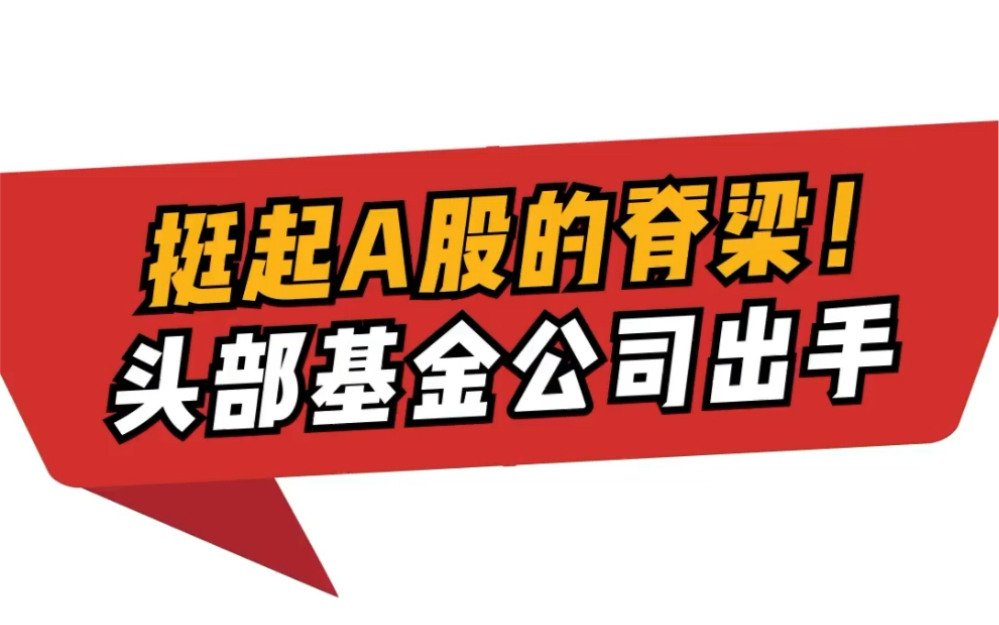 挺起A股的脊梁!多家头部基金公司出售自购旗下偏股型基金哔哩哔哩bilibili