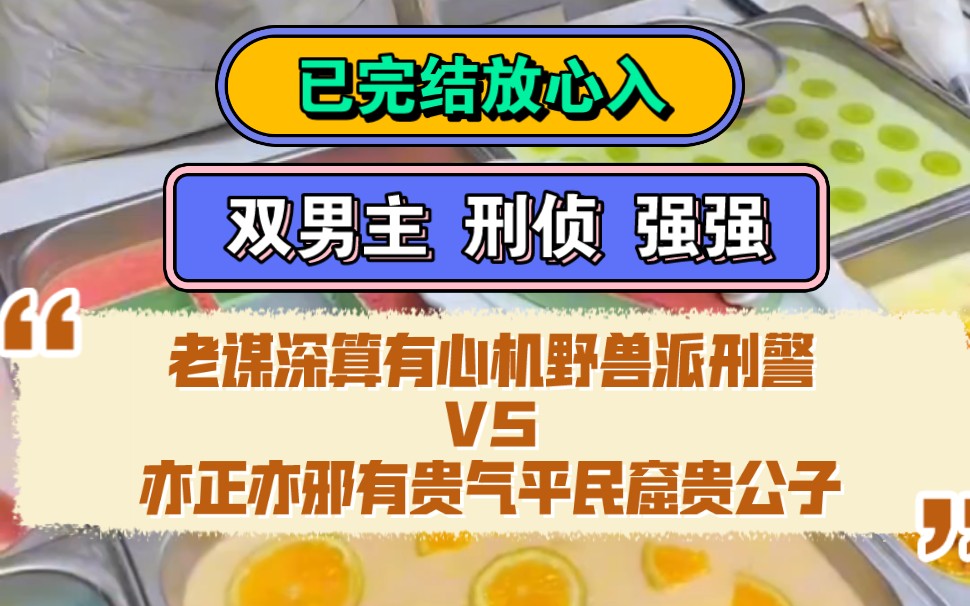 双男主 刑侦 强强 悬疑 探案 he | 全文已完结 老谋深算有心机野兽派刑警 VS 亦正亦邪有贵气平民窟贵公子哔哩哔哩bilibili