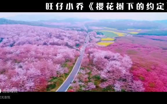 [图]旺仔小乔《樱花树下的约定》完整版----如诗如画放不下的是牵挂