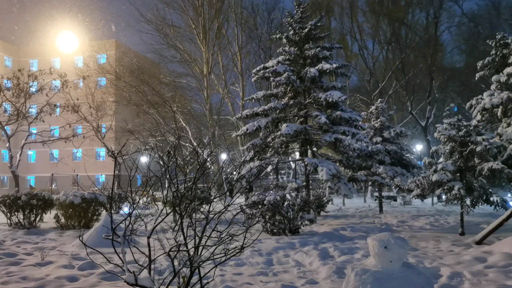 沈阳雪夜high起来