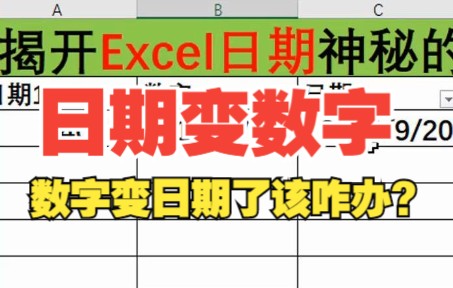 Excel数字变日期或日期变数字了怎么办哔哩哔哩bilibili