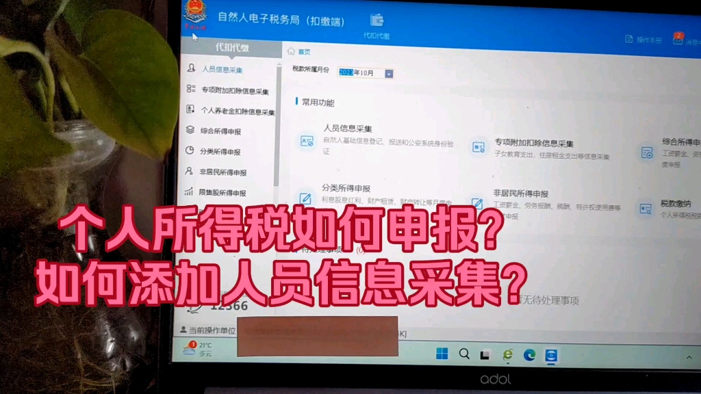 个人所得税如何申报?如何添加人员信息采集?哔哩哔哩bilibili