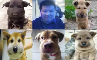 沙虫之毒_ 搜索结果_哔哩哔哩_Bilibili