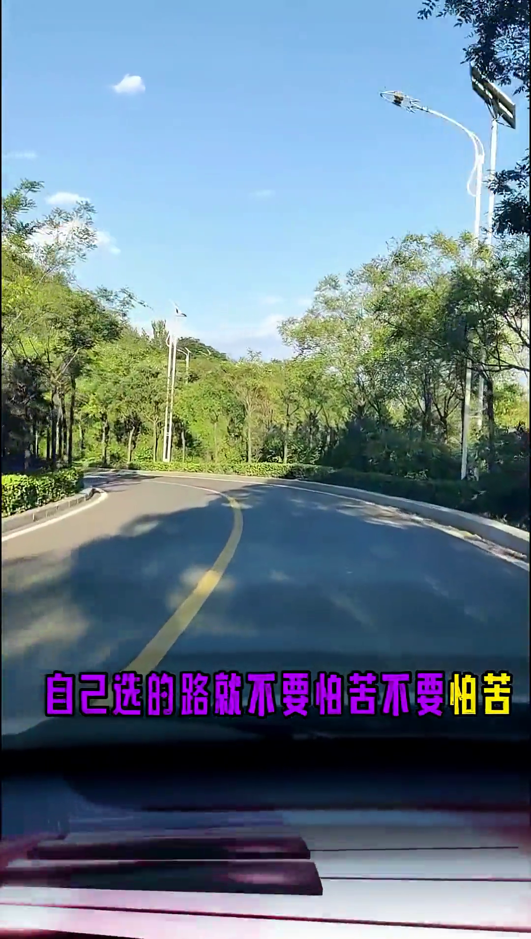 自己选的路退出没有回头路伤感音乐热歌