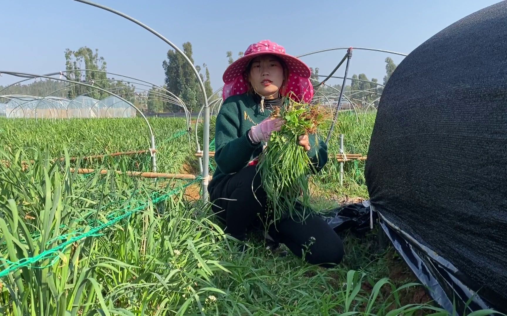 怀孕的134天,媳妇坚持每天挺着大肚子下地干活,嫁给我会幸福吗_哔哩