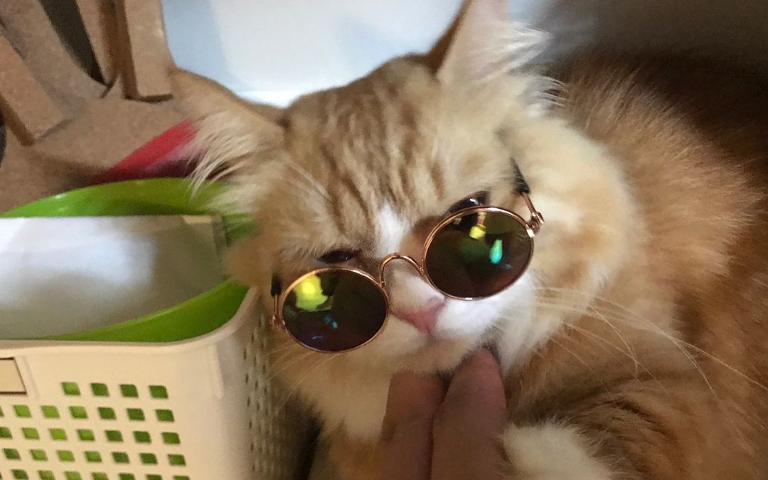 尹均相.尹钧相.2016-2017.直播合辑