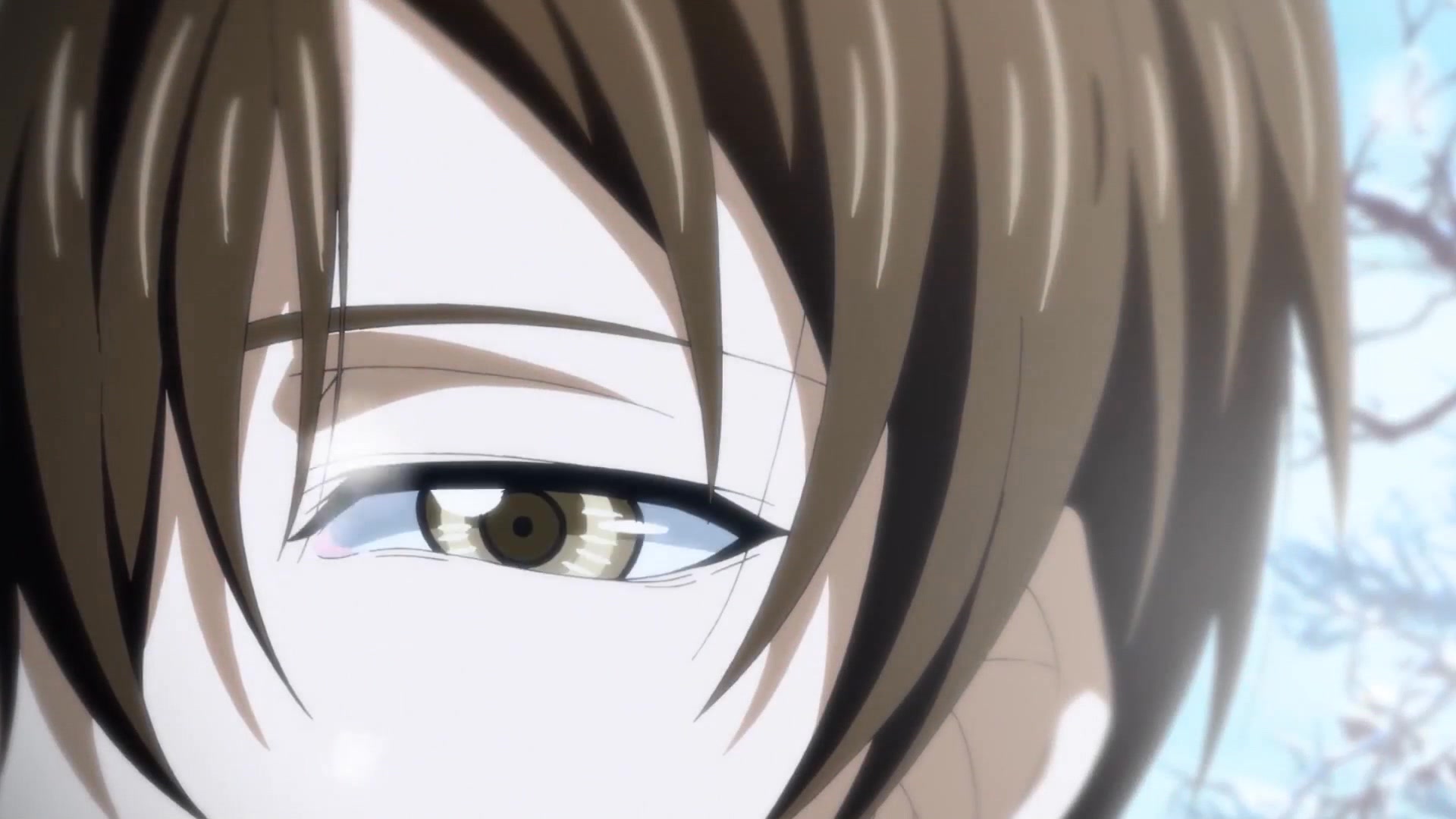 易燃易爆炸叶修个人舔屏向