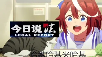 哈基米 『今日说法の小曲儿』