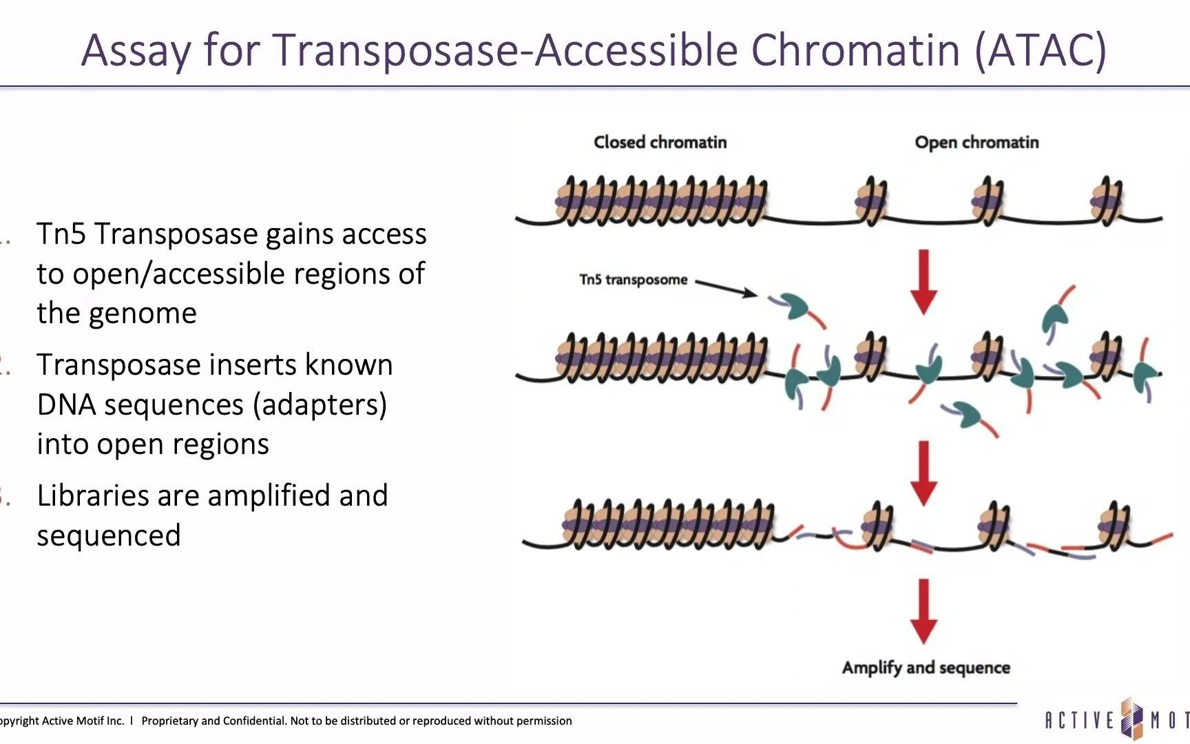 【Webinar】十分钟带你理解ATACSeq!哔哩哔哩bilibili