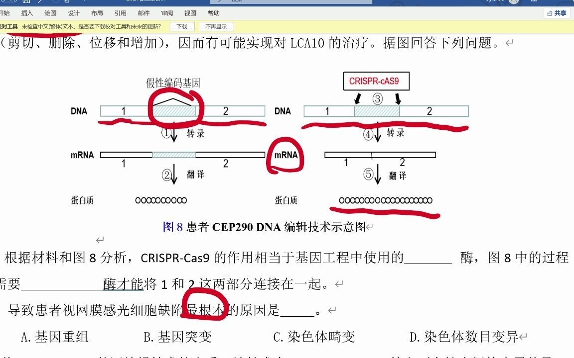 这个视频中crRNA我说错成gRNA,记忆太差了哔哩哔哩bilibili