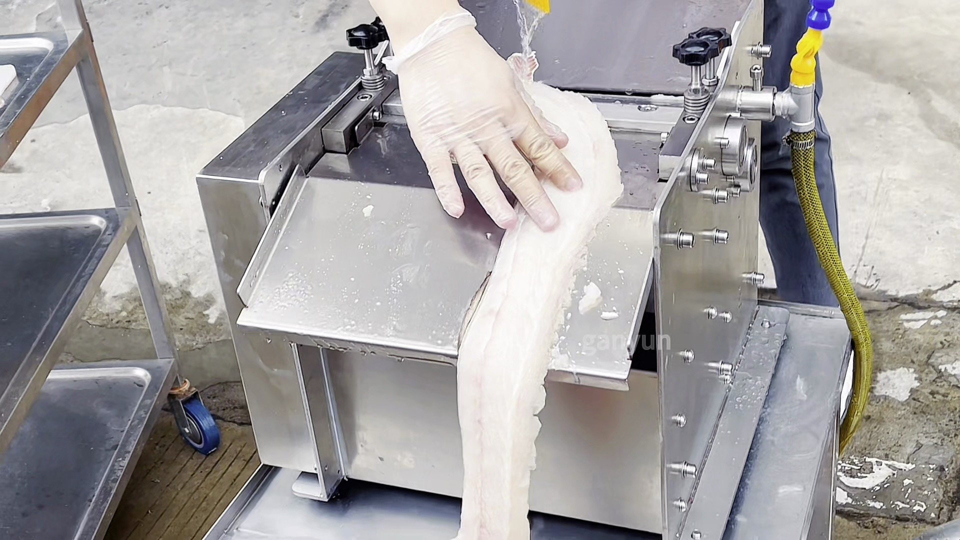 全自动去鱼皮机 台式多功能鱼肉扒皮机器