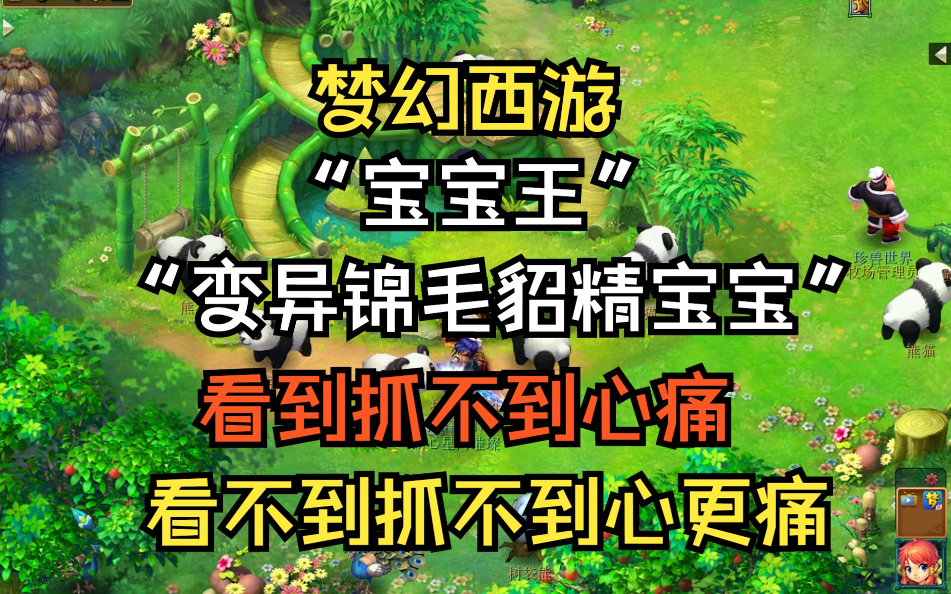 我的白色的小老鼠!变异锦毛貂精宝宝!网络游戏热门视频