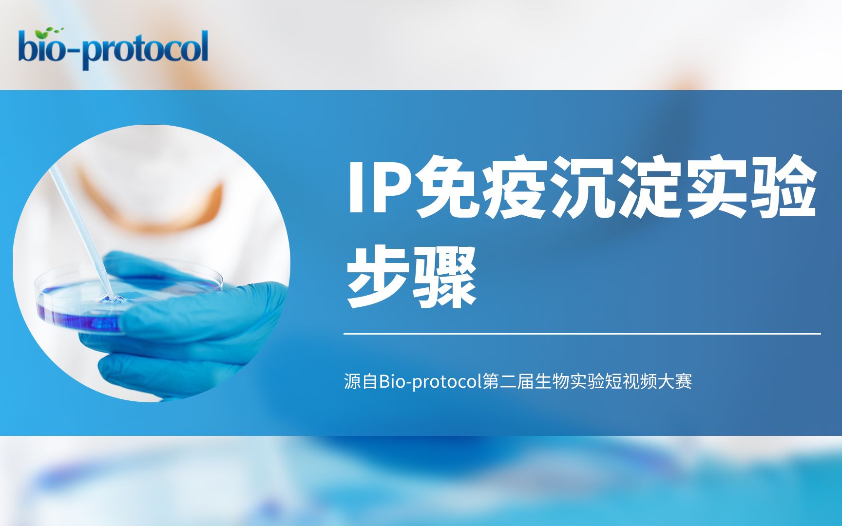 【Bioprotocol】IP免疫沉淀实验步骤哔哩哔哩bilibili