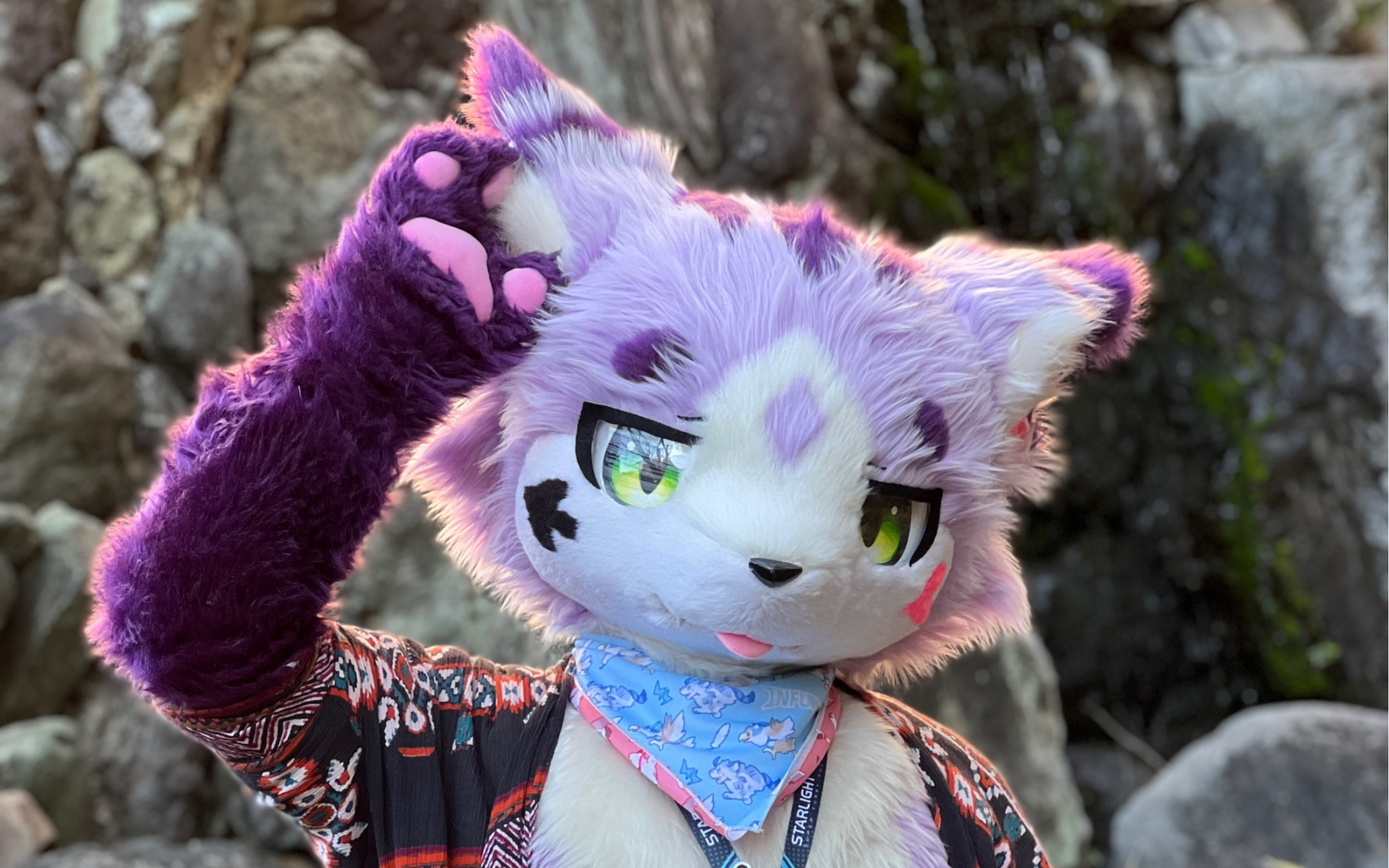 来自紫猫的新年祝福