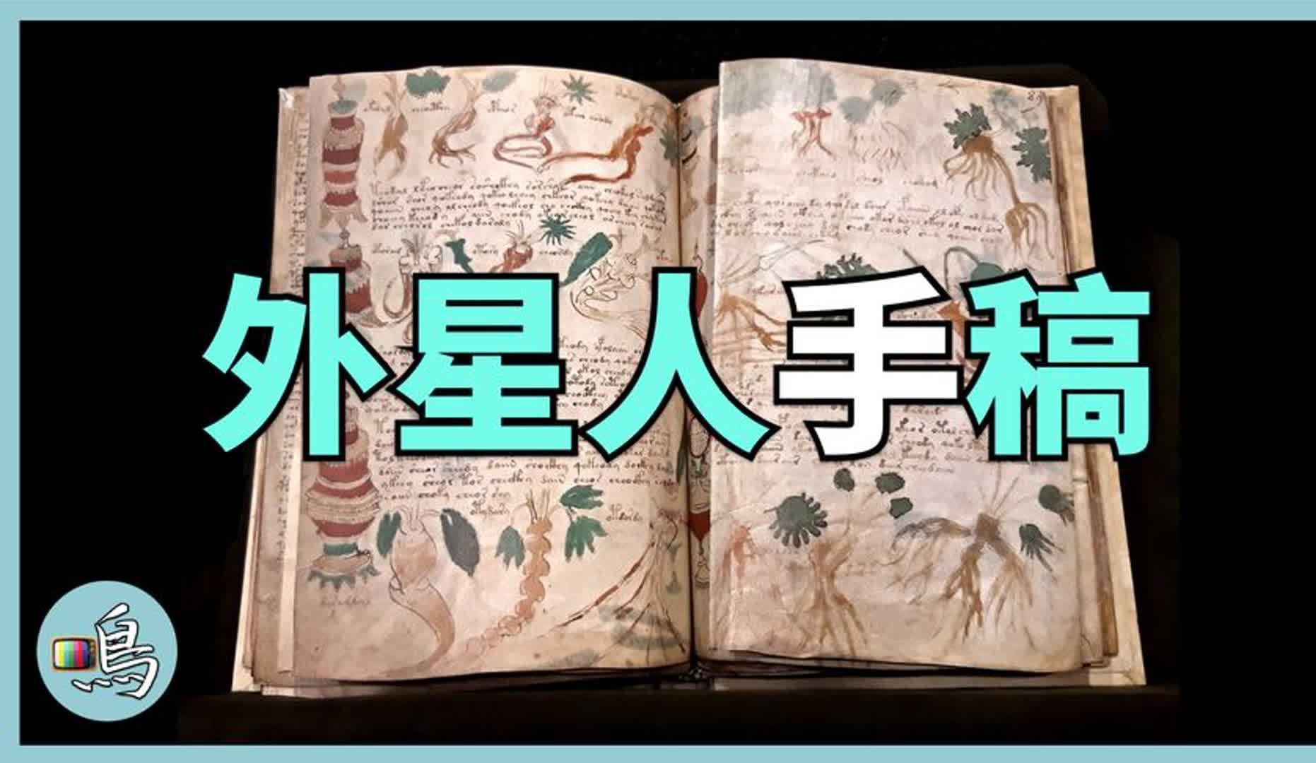 伏尼契手稿,600年文字无人能解,插图并非我们的世界哔哩哔哩bilibili