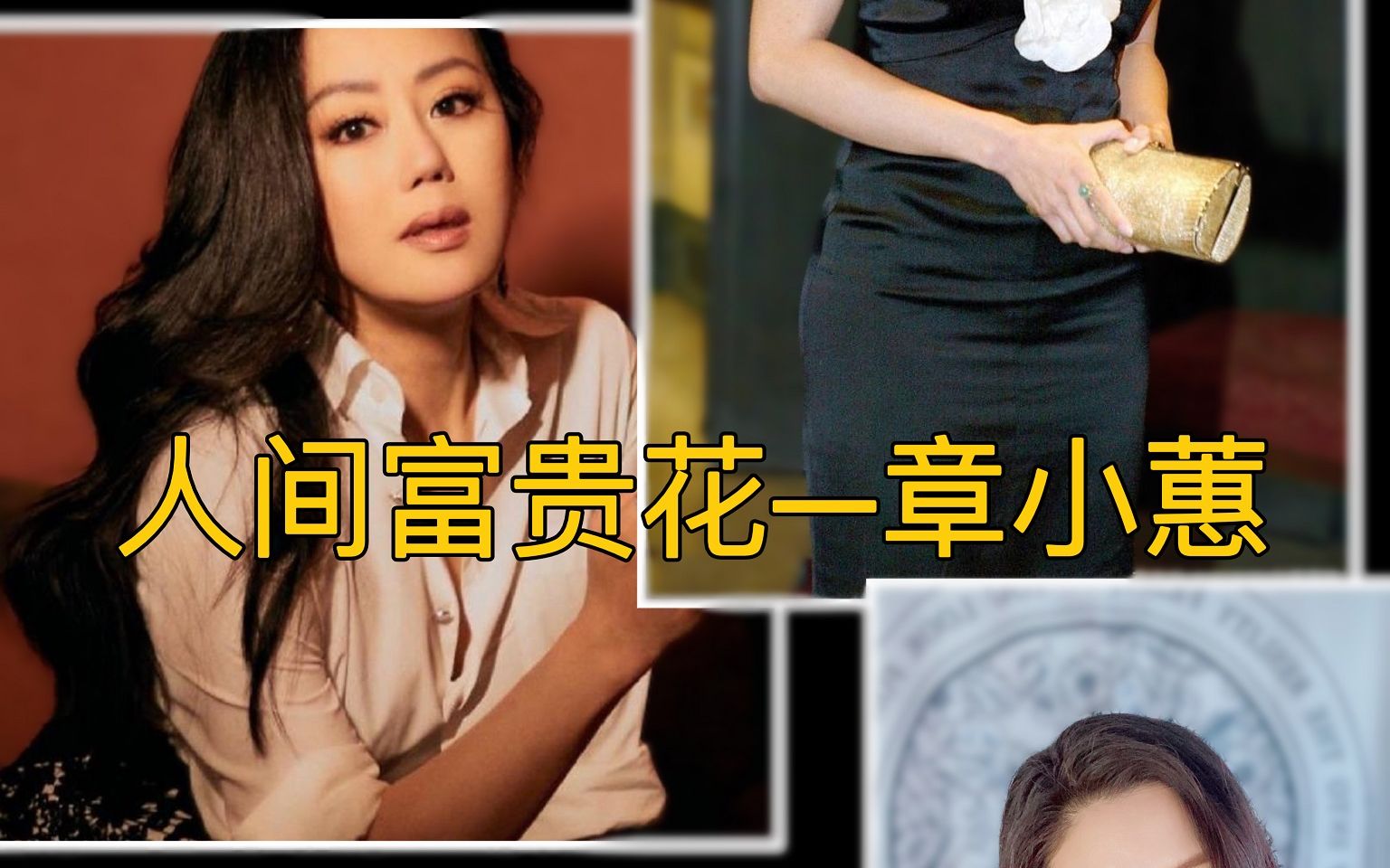 从章小蕙那里我们该学点什么?哔哩哔哩bilibili