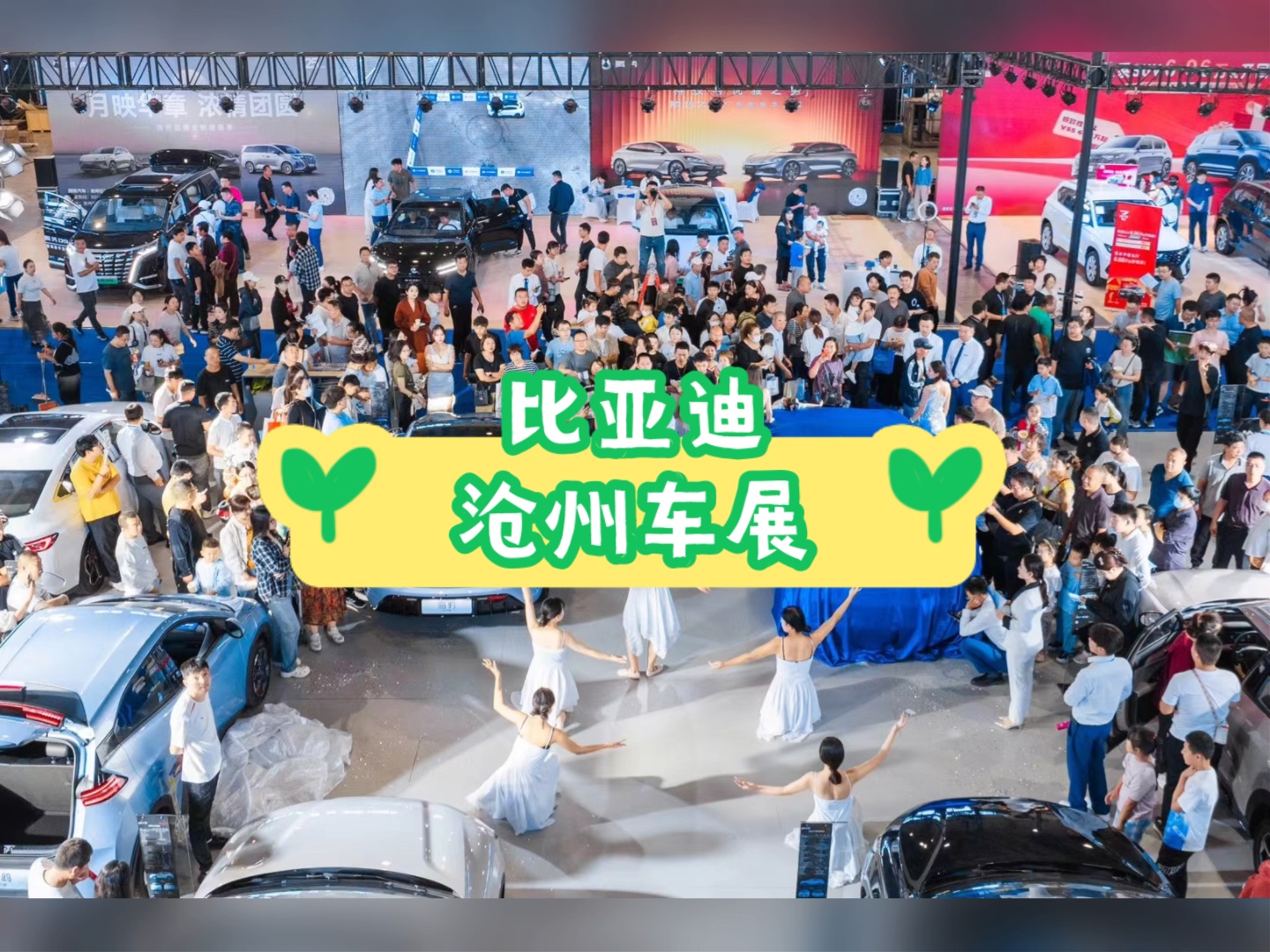 2024比亚迪沧州车展王朝擎动 释放渴望海洋驰骋 强悍本色9月15日-9月