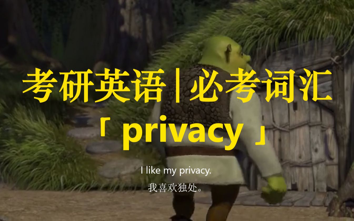 考研英语 | 必考词汇35【privacy】哔哩哔哩bilibili