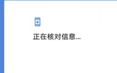 Google 正在核对信息...旋转11分45秒 [Google/谷歌/Android/安卓]哔哩哔哩bilibili