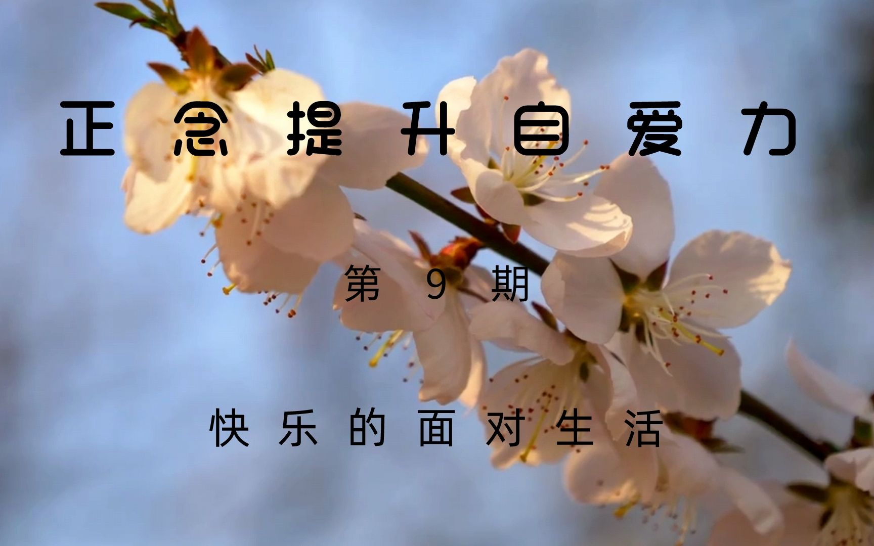 正念提升自爱力--快乐的面对生活