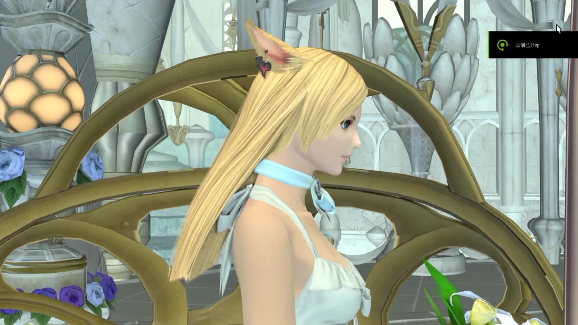 最终幻想14 ff14 猫男猫女婚礼现场