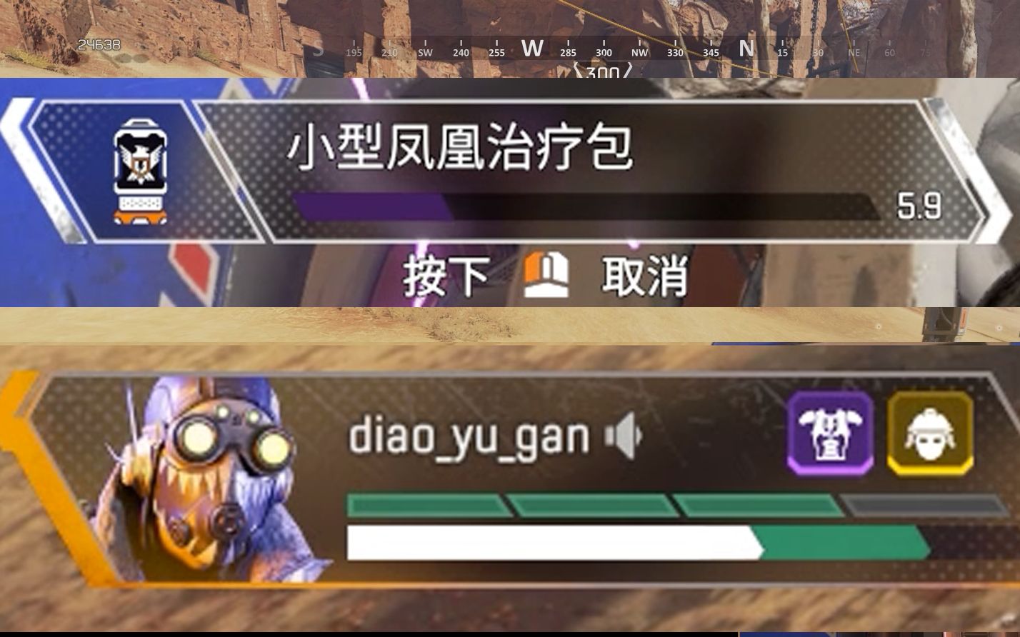 小型凤凰治疗包