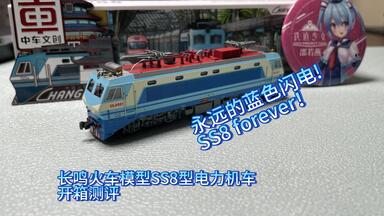 受电弓升级！长鸣火车模型HXD1D型电力机车开箱评测_哔哩哔哩_