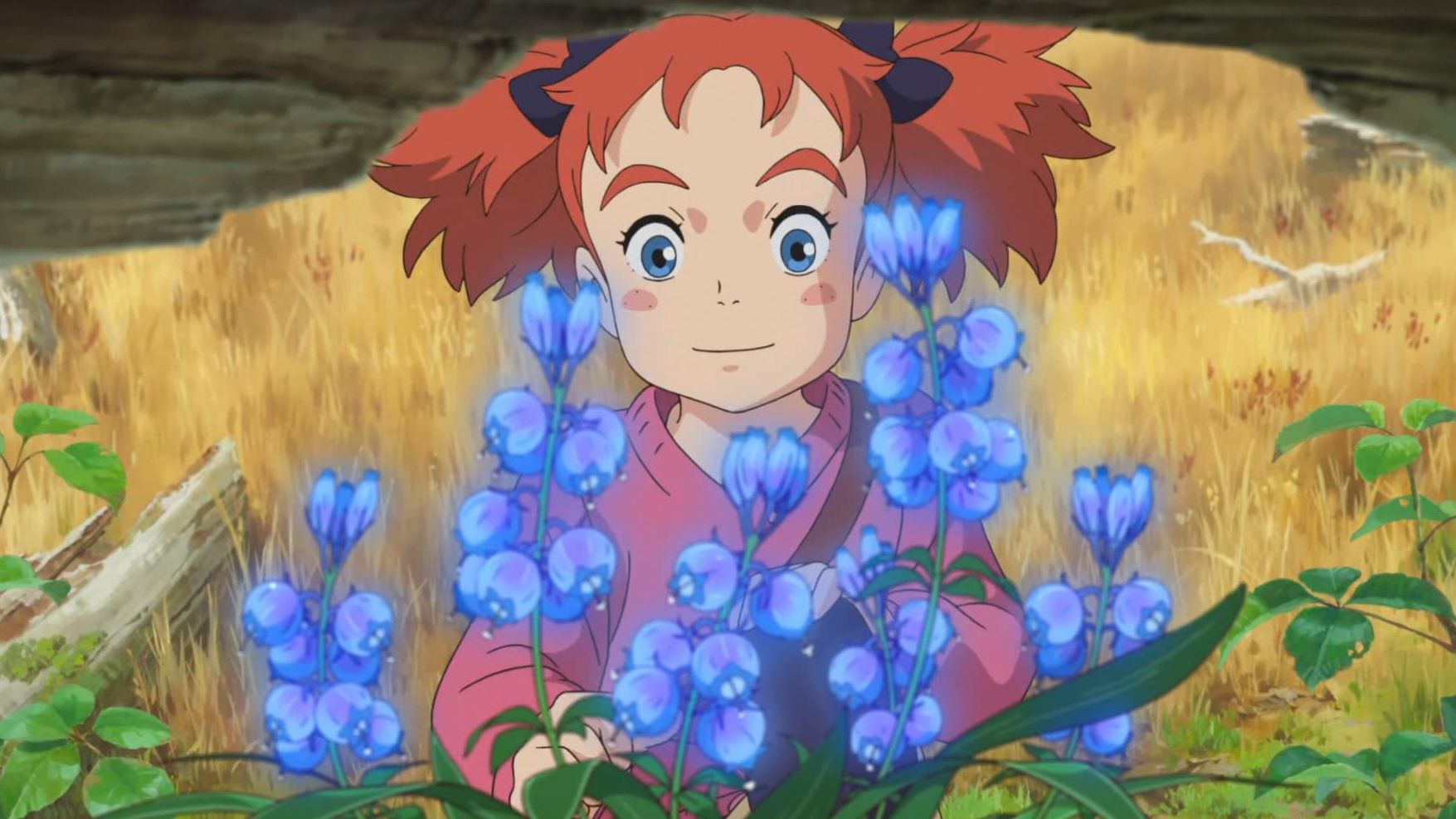 【台配国语】吉卜力外逃弟子米林宏昌2017玛丽与魔女之花,cv张乃文