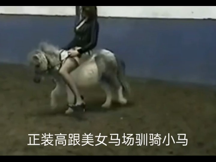 正装高跟美女马场驯骑小马