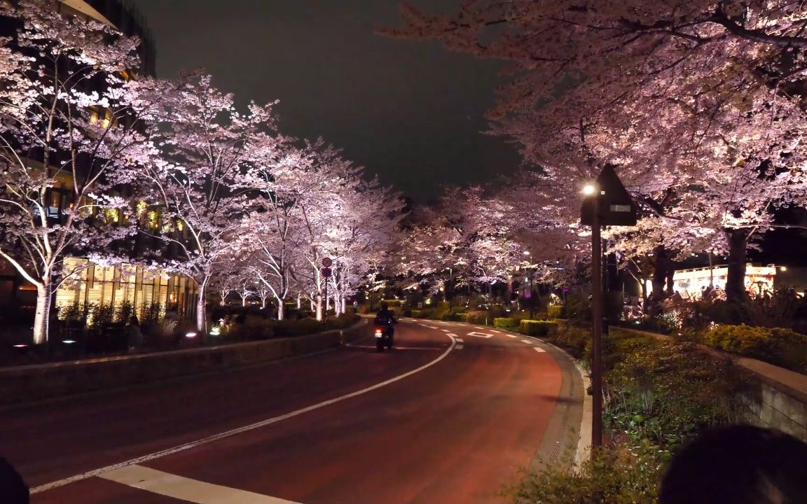 【超清日本】漫步夜晚的東京 六本木中城 櫻花車道 2019.