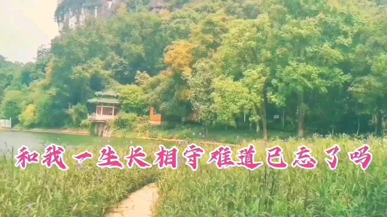 [图]《念念不忘伤的是自己》