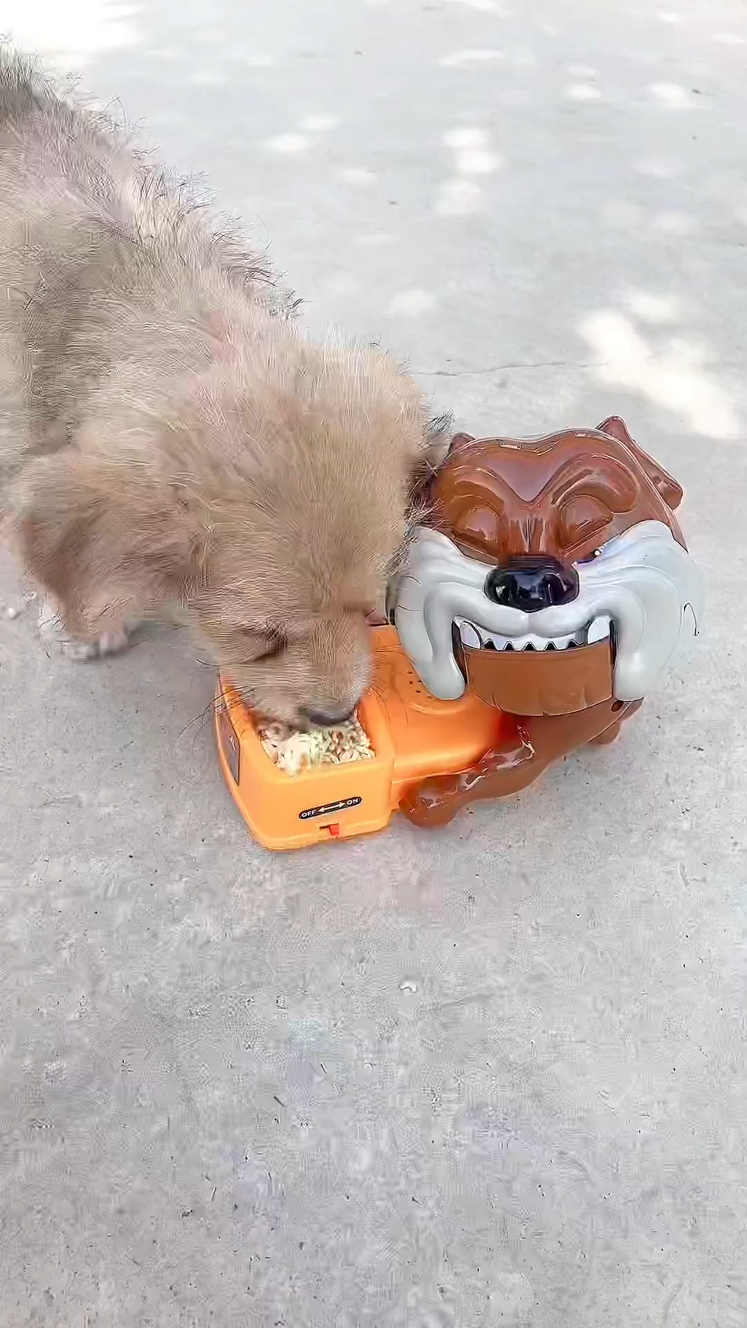 趣味整蛊小心恶犬头骨头沙皮小狗咬手指桌面游戏恶犬拔牙亲子玩具