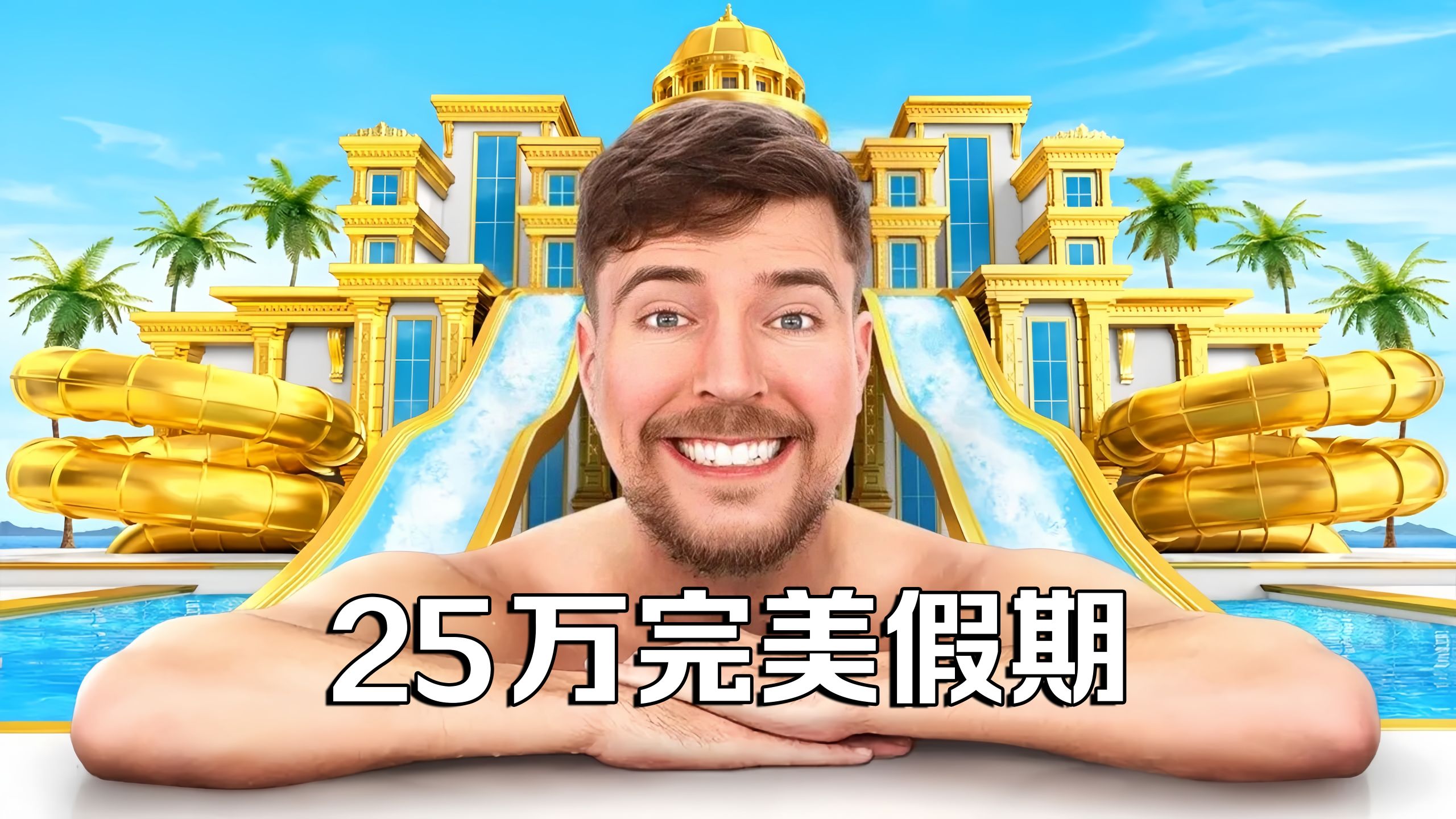 【MrBeast官方】$1美元vs$25万美元假期