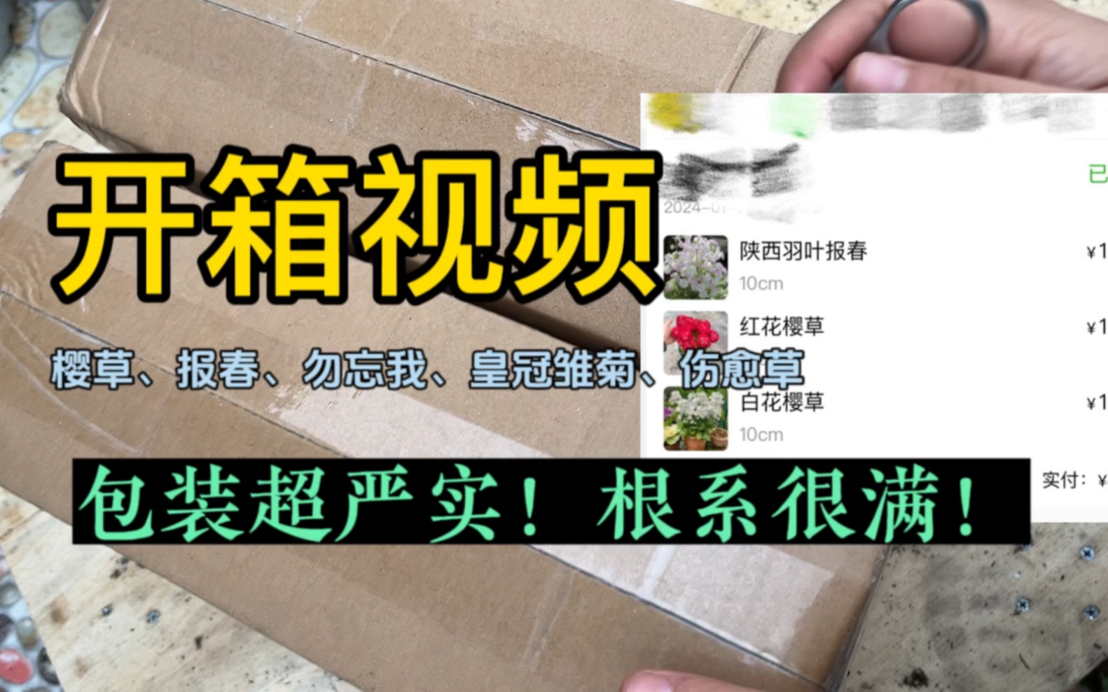 这是我开过包装最干净严实的植物快递了!