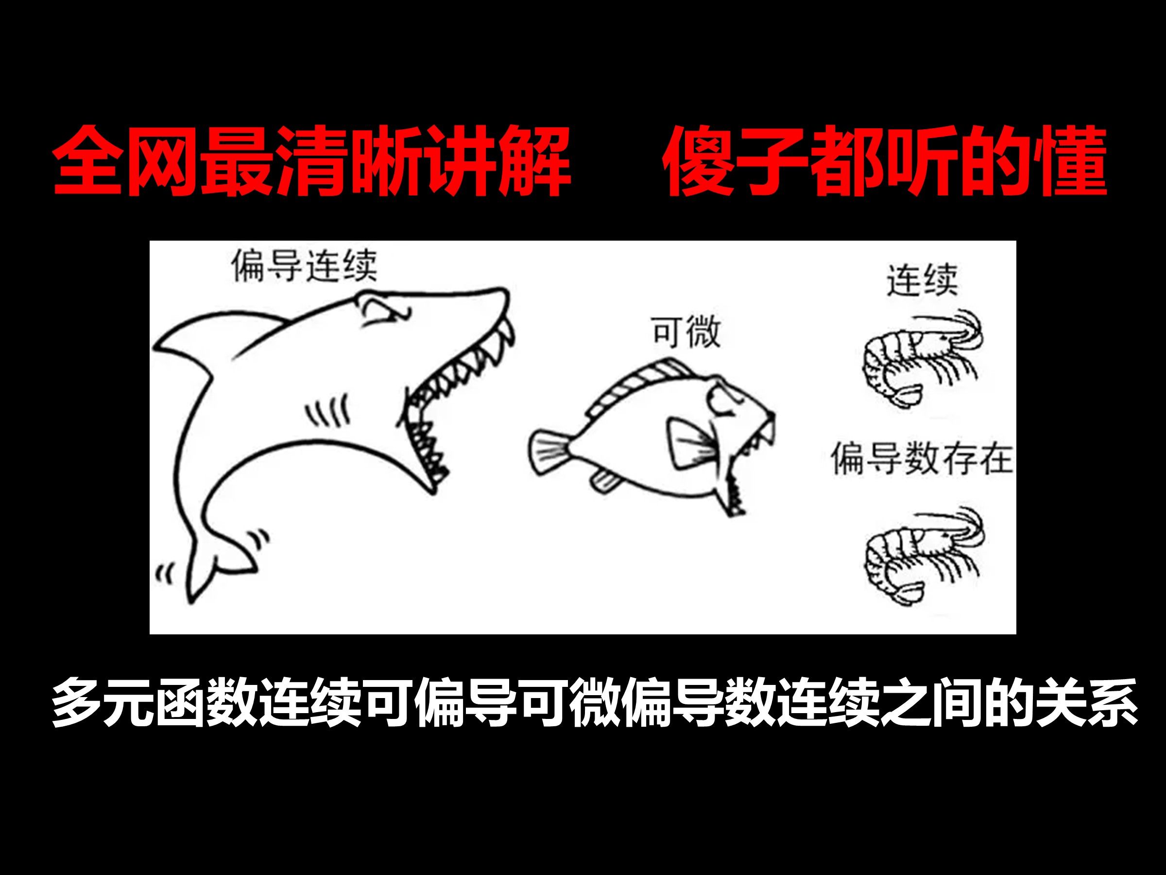 全网最清晰讲解傻子都能听得懂多元函数连续偏导可微偏导数连续之间的关系哔哩哔哩bilibili