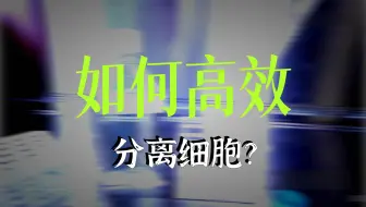 如何从原代组织样本（如小鼠脾脏）制备单细胞悬浮液？