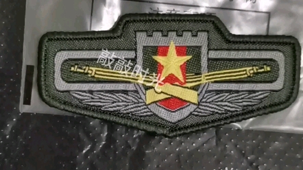 07式陆军软胸标图片