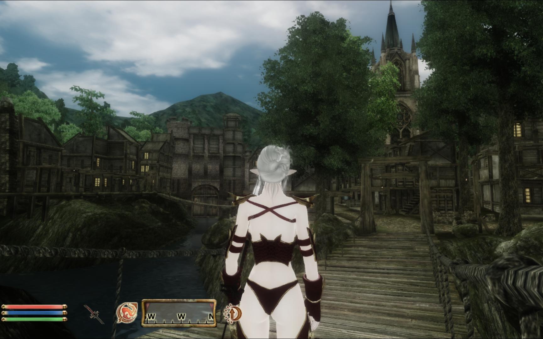 【上古卷轴4】布鲁玛的同盟:布拉维尔