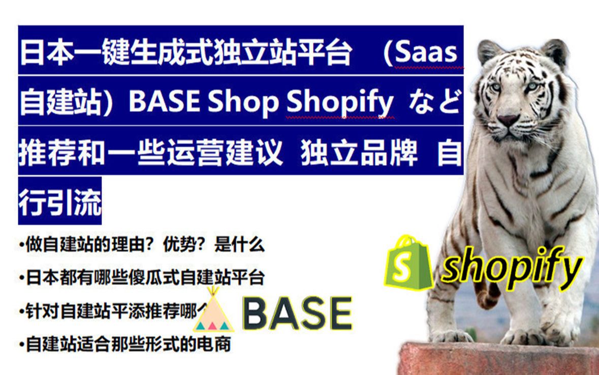 日本一键生成式独立站平台 (Saas自建站)BASE Shop Shopify など推荐和一些运营建议 独立品牌 自行引流哔哩哔哩bilibili