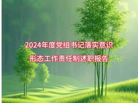 2024年度党组书记落实意识形态工作责任制述职报告哔哩哔哩bilibili