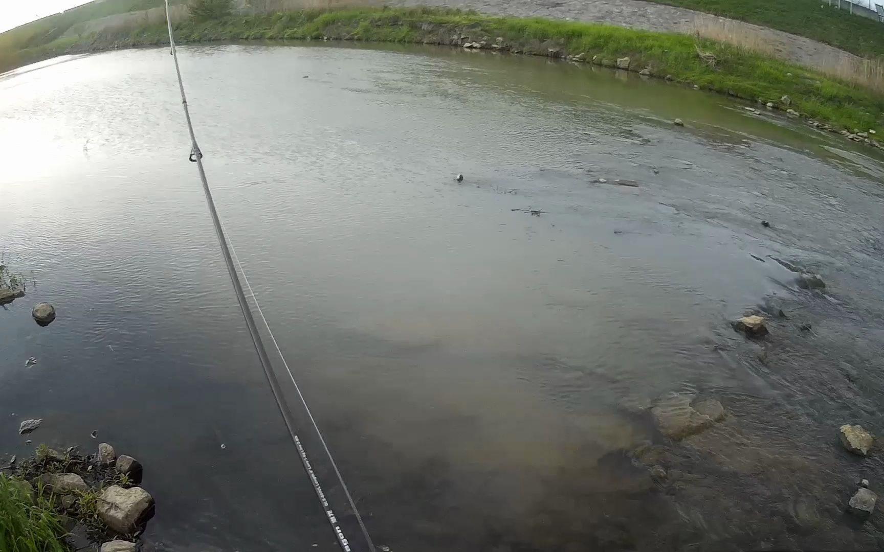 湖州河道路亚钓鱼,没想到小河道也有这么大翘嘴,软杆拉得真爽哔哩哔哩bilibili