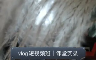 短视频班｜课堂实录，现场拍摄、剪辑零基础学习