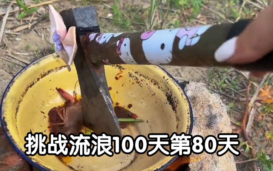 [图]挑战流浪100天第80天 这里的食物还是太少了