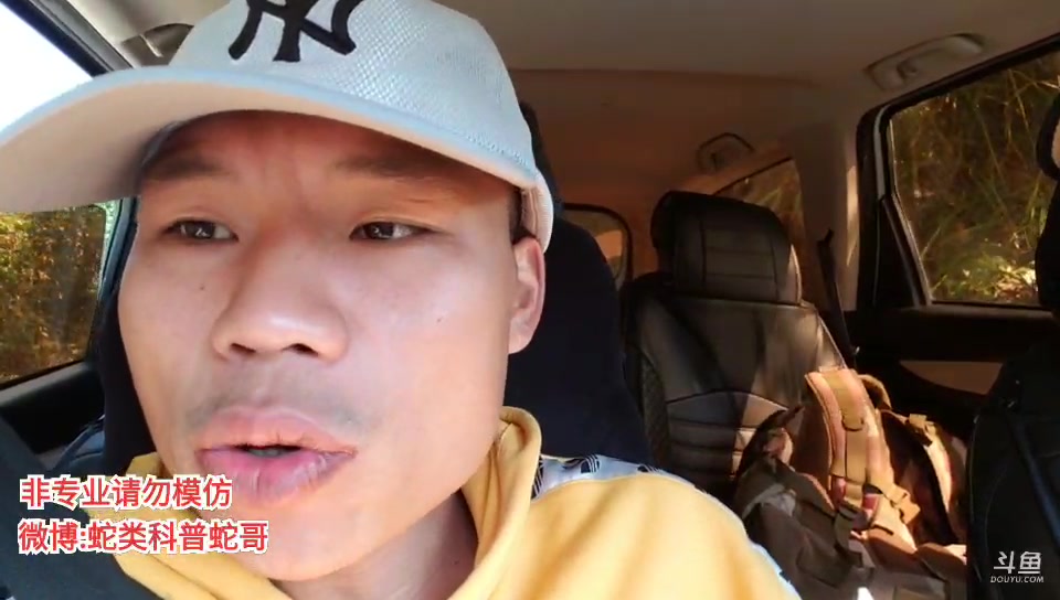 蛇类科普蛇哥直播录像2019120712时0分14时9分追踪毒蛇之王眼镜王蛇