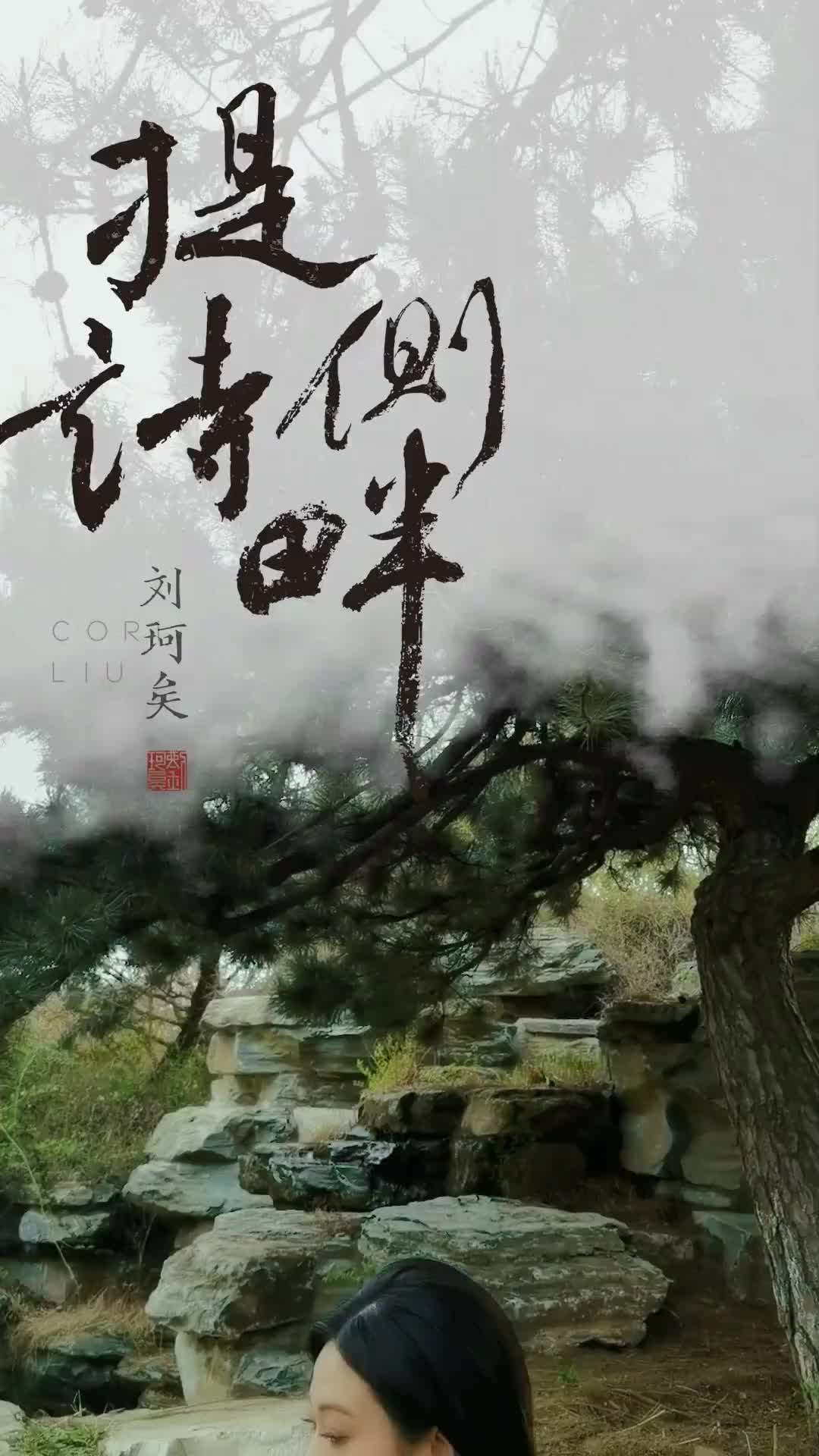 一澜风月送你一澜寄江面新歌提诗侧畔抖音看见音乐