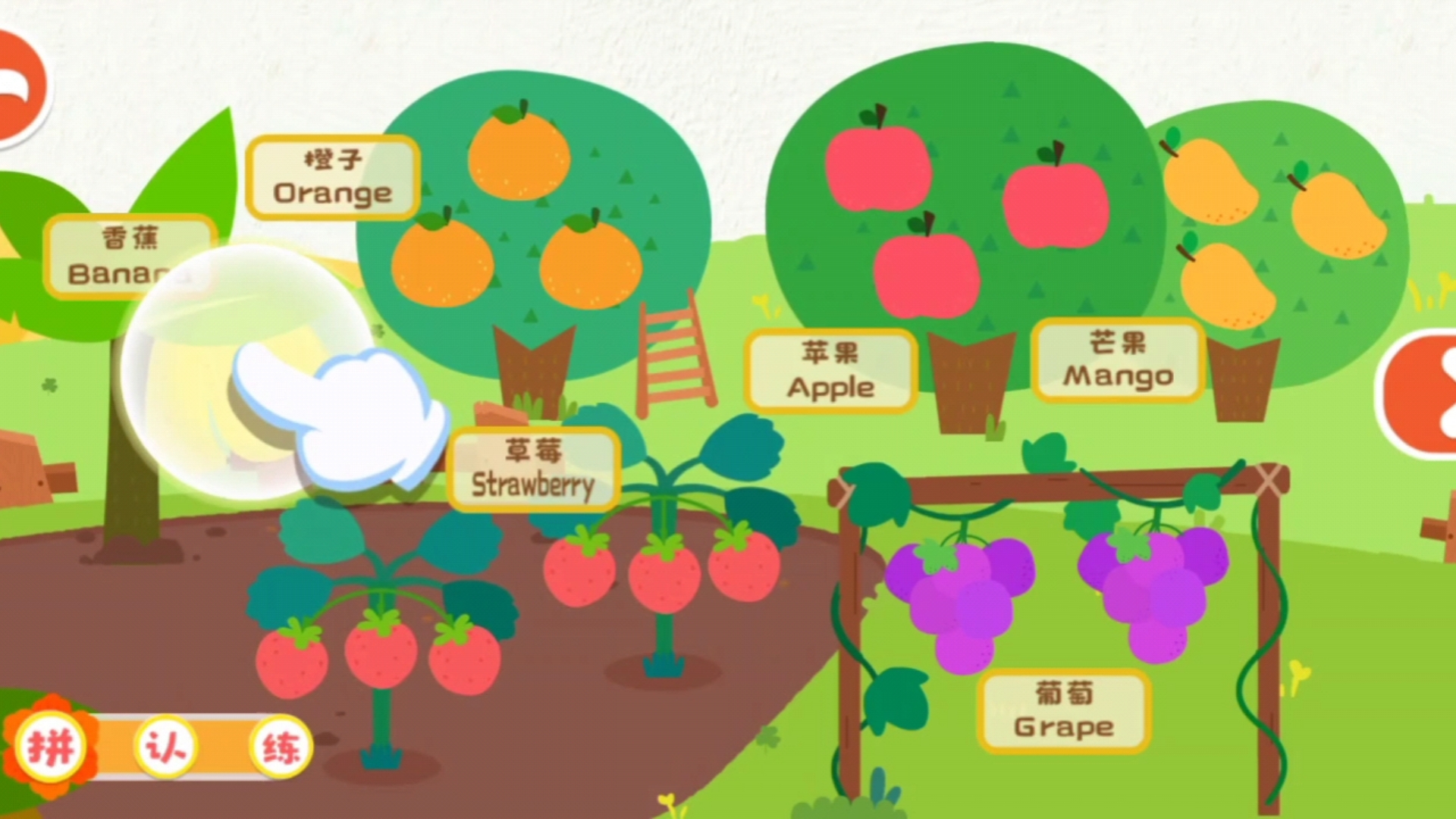 宝宝巴士 启蒙认知卡-水果中文 英文 颜色