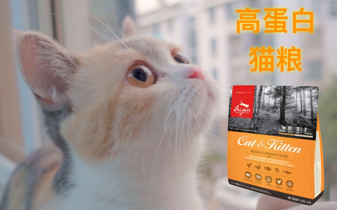 [图]【D梦】给cookie吃渴望猫粮